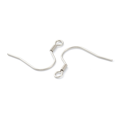 316 crochets de boucle d'oreille chirurgicaux en acier inoxydable, fil d'oreille, avec boucle horizontale
