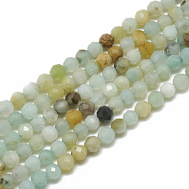 Natural Flower Amazonite Beads Strands, Faceted, Round