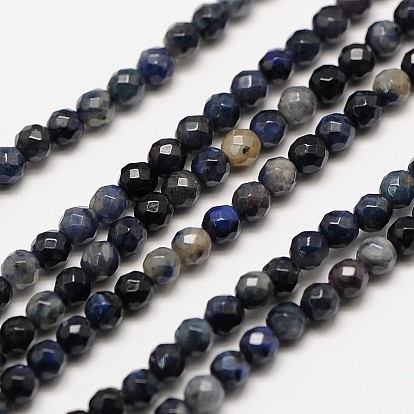Natural Gemstone Sodalite Faceted Round Beads Strands