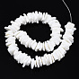 Natural White Shell Beads Strands, Chip, Bleach
