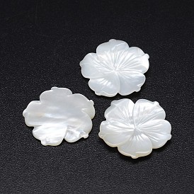 Natural White Shell Mother of Pearl Shell Flower Cabochons, 23~24x3mm