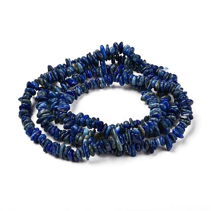 Naturales lapis lazuli hebras de perlas de chips, 5~8x5~8 mm, agujero: 1 mm, alrededor de 31.5 pulgada