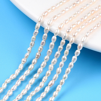 Natural Cultured Freshwater Pearl Beads Strands, Rice