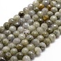 Chapelets de perles labradorite naturelle , facette, ronde, kaki foncé