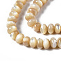 Brins de perles de coquille de trochid / trochus shell, rondelle