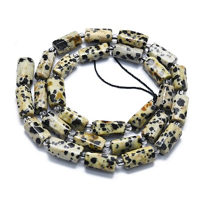 Natural Dalmatian Jasper Beads Strands, with Seed Beads, Faceted, Column
