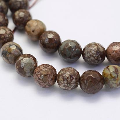 Natural Snowflake Obsidian Beads Strands, Round, Faceted