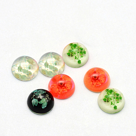 Resin Cabochons, Dome, Half Round, with Dried Flower inside, 11.5~12x6~6.5mm
