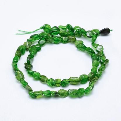 Natural Green Diopside Beads Strands, Tumbled Stone, Nuggets