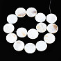Natural Freshwater Shell Beads Strands, Flat Round