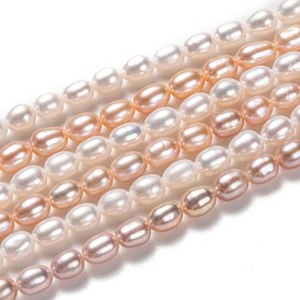 Natural Cultured Freshwater Pearl Beads Strands, Rice, Dyed