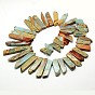 Chips Natural Aqua Terra Jasper Beads Strands, Dyed, 22~58x9~10x5~6mm, Hole: 1mm, 15.7 inch , about 5strands/kg