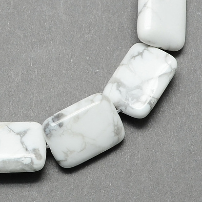 Perles en forme de rectangle de pierres précieuses howlite naturelle de pierre brins, 18x13x6mm, Trou: 1mm, Environ 22 pcs/chapelet, 15.7 pouce