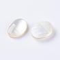 Shell Cabochons, Oval