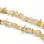 Natural Gold Rutilated Quartz Stone Bead Strands, Chip, about 3~9mm long, 3~6mm wide, 1~4mm thick, Hole: 1mm, about 350pcs/strand, 34.6 inch