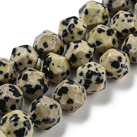 Natural Dalmatian Jasper Beads Strands, Faceted, Polygon