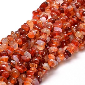 Dyed Natural Carnelian Chip Beads Strands, 4~14x4~12mm, Hole: 1mm, about 15.3 inch ~16.1 inch