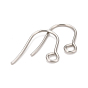 316 Surgical Stainless Steel Earring Hooks, Ear Wire, with Horizontal Loop