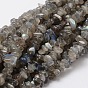 Natural Labradorite Chip Bead Strands, 5~8x5~8mm, Hole: 1mm, about 16 inch