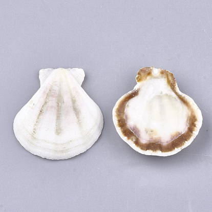 Perles de coquille Saint-Jacques naturelles, perles de coquille de mer, perles non percées / sans trou