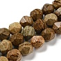 Natural Picture Jasper Beads Strands, Faceted, Polygon