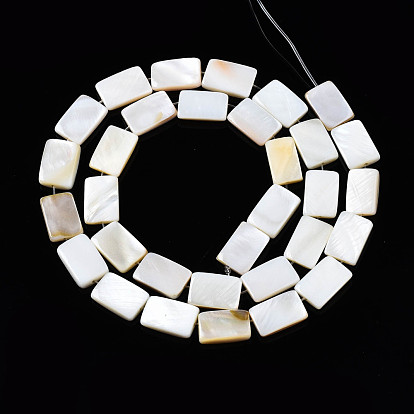 Natural Freshwater Shell Beads Strands, Rectangle