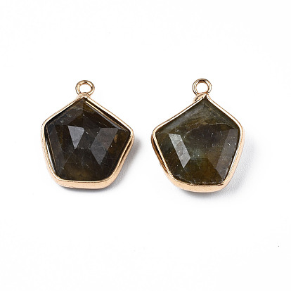 Natural Labradorite Pendants, with Golden Tone Brass Findings, Faceted, Pentagon