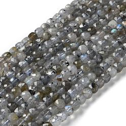 Natural Labradorite Beads Strands, Faceted, Square