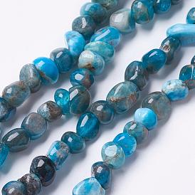 Natural Apatite Beads Strands, Nuggets