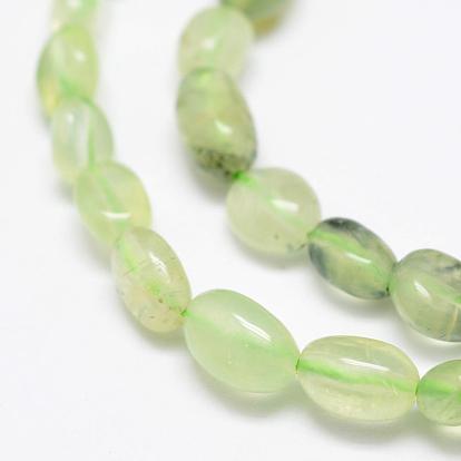 Natural Prehnite Beads Strands, Tumbled Stone, Nuggets