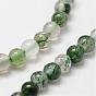 Natural Moss Agate Beads Strands, Round