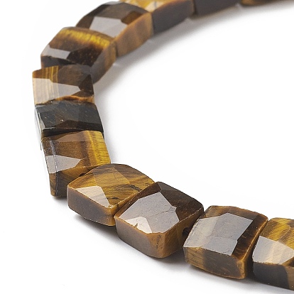 Natural Tiger Eye Beads Strands, Faceted, Square