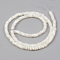 Natural Trochid Shell/Trochus Shell Beads Strands, Flat Round