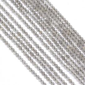 Cordes de cordes de calcédoine gris naturel, facette, ronde