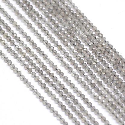 Natural Gray Chalcedony Bead Strands, Faceted, Round