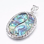Abalone Shell/Paua Shell Pendants, with Brass Findings, Oval, Platinum
