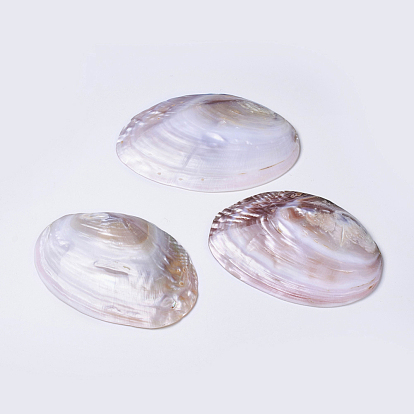 Decoración de concha de perla de agua dulce natural