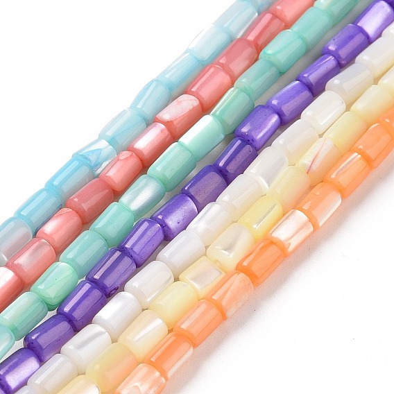 Natural Trochus Shell Beads Strands, Dyed, Column