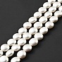 Electroplated Shell Pearl Beads Strands, Polished, Flat Round