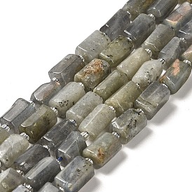 Natural Labradorite Beads Strands, with Seed Beads, Faceted, Column