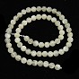 Natural White Moonstone Beads Strands, Round