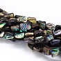 Natural Paua Shell Beads Strands, Nuggets, 10~16x6~9x4~6mm, Hole: 1mm, about 15.7 inch