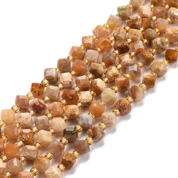 Natural Fossil Coral Beads Strands, with Seed Beads, Faceted, Diagonal cube beads