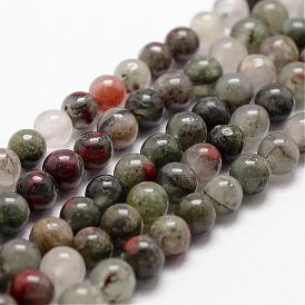 Natural African Bloodstone Beads Strands, Heliotrope Stone Beads, Round