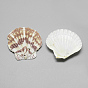 Sea Shell Big Pendants