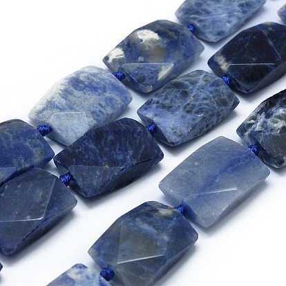 Natural Sodalite Beads Strands, Faceted, Rectangle