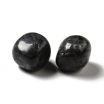 Perles de larvikite naturelles, pierre tombée, pierres de guérison, pour les cristaux de guérison reiki équilibrage des chakras, gemmes de remplissage de vase, pas de trous / non percés, nuggets