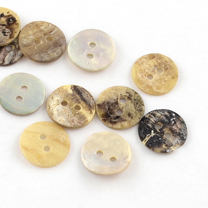 2-отверстие кнопки плоские круглые морские раковины, 10~11x1~2 мм, отверстие : 1 мм