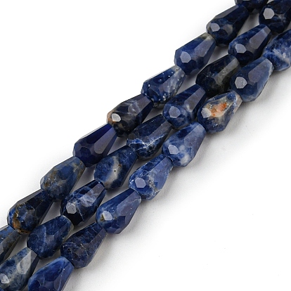 Natural Sodalite Beads Strands, Faceted, Teardrop