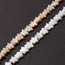 Natural Trochid Shell/Trochus Shell Beads, Star